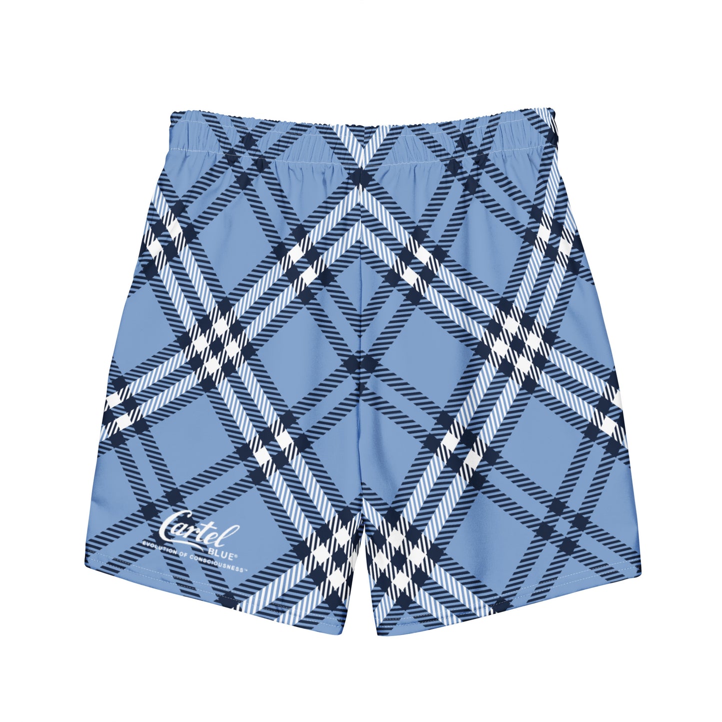 Paid In Plaid Swim Trunks